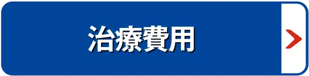 治療費用