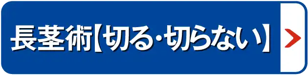 長茎術【切る・切らない】