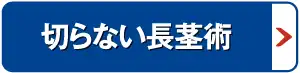 長茎術