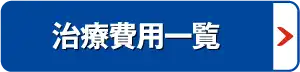 治療費用一覧
