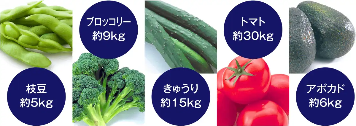 食品からNMNを摂取する場合