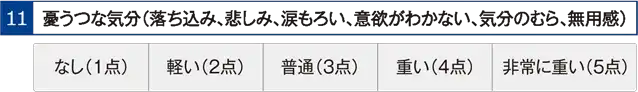 憂鬱な気分（落ち込み、悲しみ、涙もろい、意欲がわかない、気分のむら、無用感）
