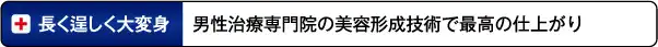 美しい仕上がり：美容形成技術でバランスを考慮した美しい仕上がり