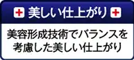 美しい仕上がり：美容形成技術でバランスを考慮した美しい仕上がり