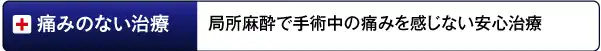 安心の無痛麻で痛みのない安心治療