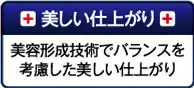 美しい仕上がり：美容形成技術でバランスを考慮した美しい仕上がり