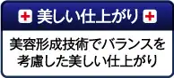 美しい仕上がり：美容形成技術でバランスを考慮した美しい仕上がり