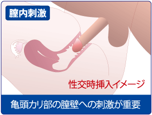 カリ 大きくする 方法