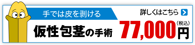 手ではむけるタイプ 仮性包茎
                        77,000                        円