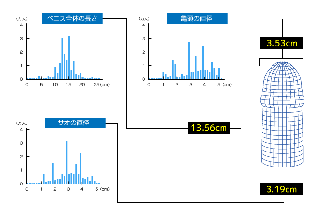 日本人の平均ペニスサイズ