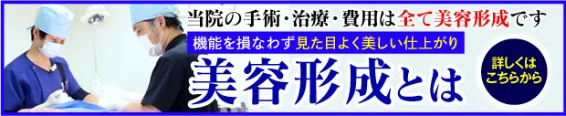 美容形成術とは