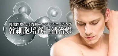 デカマラベニス 包茎手術・長茎術・亀頭増大術｜MSクリニック新宿・横浜・大宮・名古屋・大阪