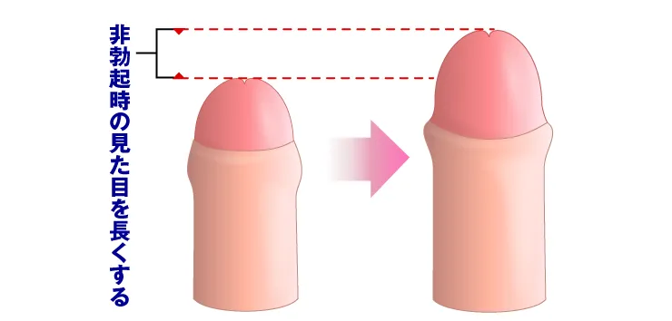 通常時のペニスを長くする図解