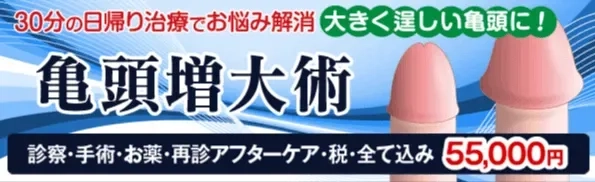 30分の日帰り治療でお悩み解消。大きく逞しい亀頭に！亀頭増大術