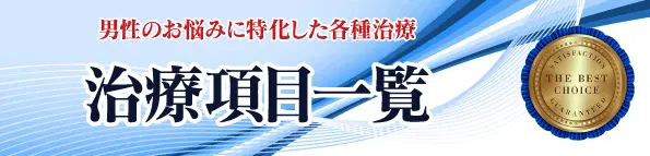 男性のお悩みに特化した各種治療 治療項目一覧