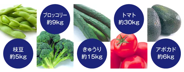 食品でNMNを100mg摂取するには？