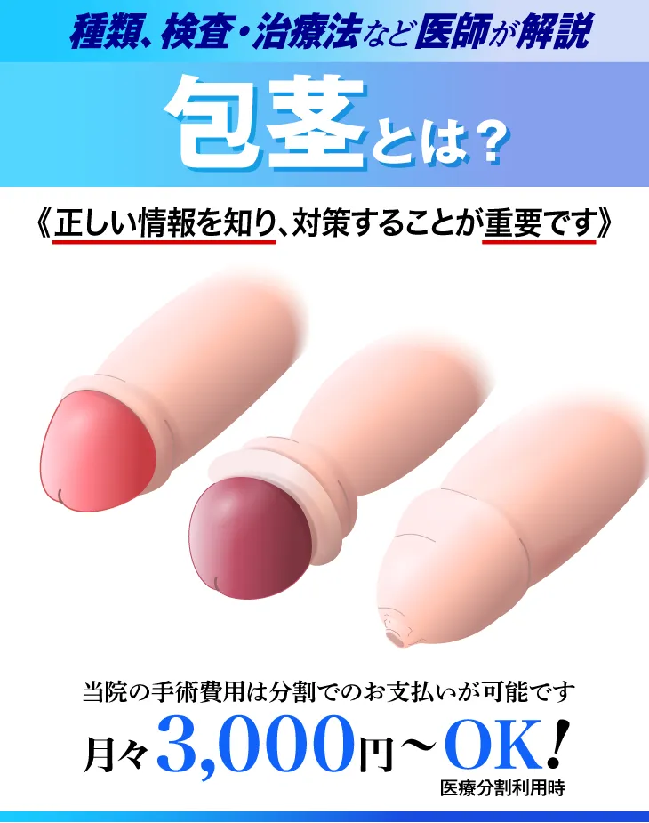 包茎について
